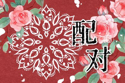星座与八字：两套语言